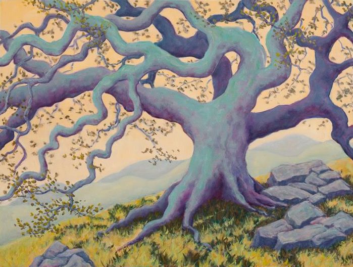Maeve Croghan: Oak Tree